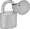 Weather-Resistant Padlocks with Identification Tags